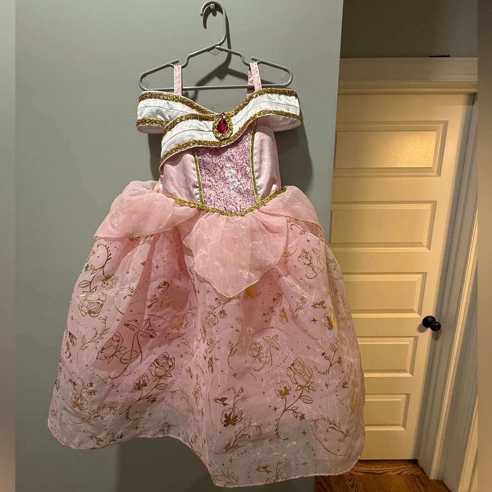 Disney Princess Dress: Sleeping Beauty size 4